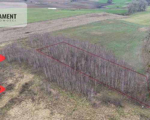 * Działka 3000m2 z WZ Łąsko Małe KORONOWO