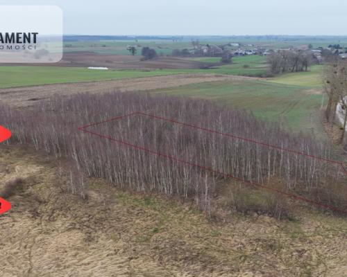* Działka 3000m2 z WZ Łąsko Małe KORONOWO