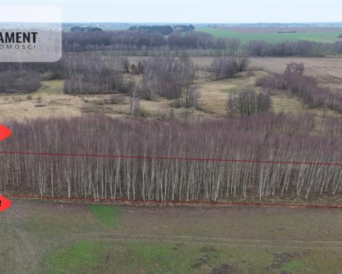 * Działka 3000m2 z WZ Łąsko Małe KORONOWO