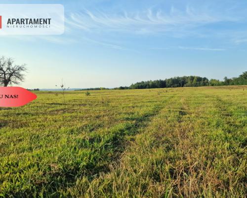 Tylko u Nas! Działki 15 minut od Bydgoszczy!