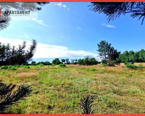 Wymarzone miejsce na  Twój dom w otulinie sosen!