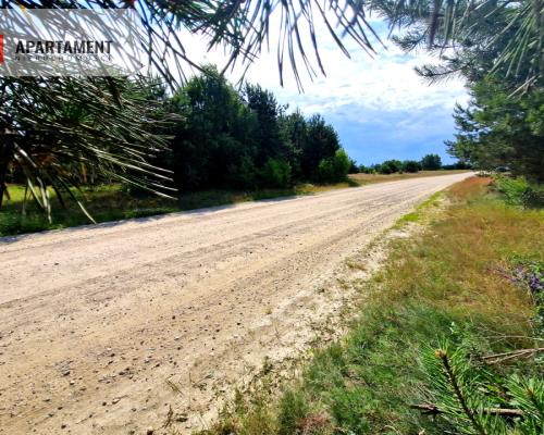 Wymarzone miejsce na  Twój dom w otulinie sosen!