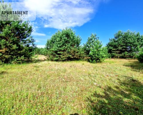 Wymarzone miejsce na  Twój dom w otulinie sosen!