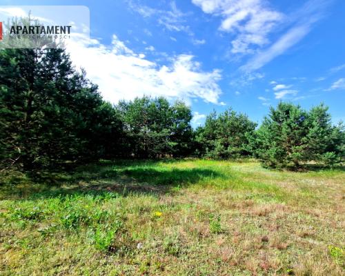 Wymarzone miejsce na  Twój dom w otulinie sosen!