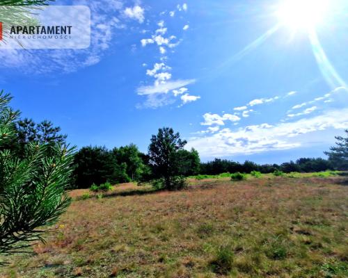 Wymarzone miejsce na  Twój dom w otulinie sosen!