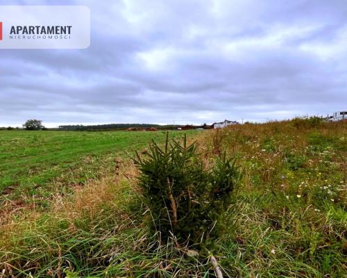 Działki w Kolinczu z dala od ulicy