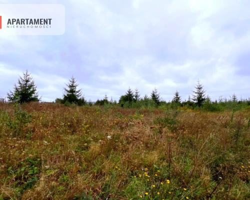 Działki w Kolinczu z dala od ulicy