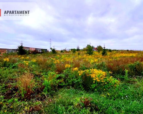 Działki w Kolinczu z dala od ulicy