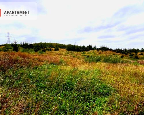 Działki w Kolinczu z dala od ulicy