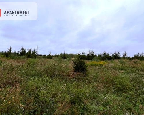 Działki w Kolinczu z dala od ulicy