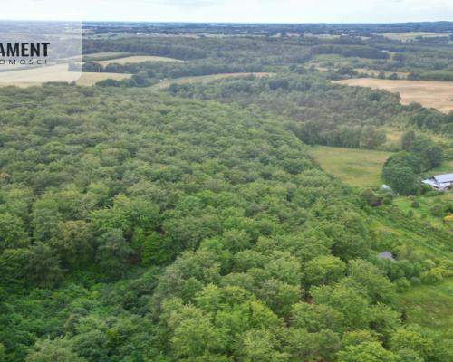 Działka inwestycyjna