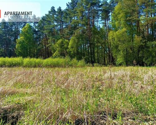 DZIAŁKA NEKLA - SUPER LOKALIZACJA, ŚCIANA LASU