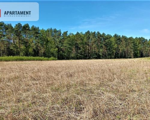 DZIAŁKA NEKLA - SUPER LOKALIZACJA, ŚCIANA LASU