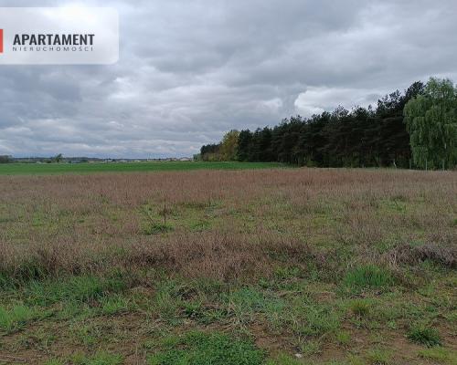 DZIAŁKA NEKLA - SUPER LOKALIZACJA, ŚCIANA LASU