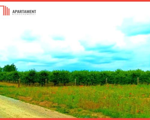 MORZEWIEC 1067 m2 ŚWIETNA LOKALIZACJA