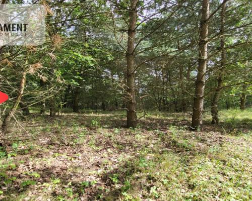 2118mkw z WZ - Wyrzysk Skarbowy