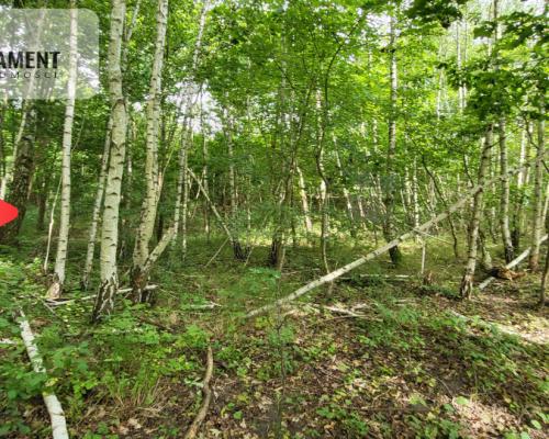 2118mkw z WZ - Wyrzysk Skarbowy