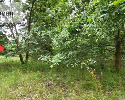 2118mkw z WZ - Wyrzysk Skarbowy