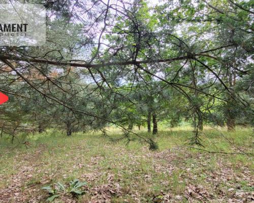 2118mkw z WZ - Wyrzysk Skarbowy