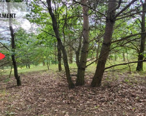 2118mkw z WZ - Wyrzysk Skarbowy