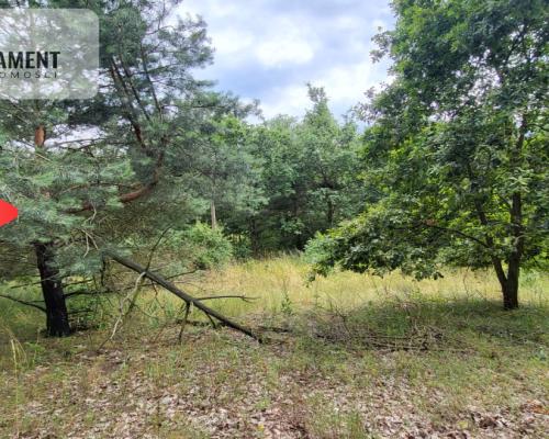 2118mkw z WZ - Wyrzysk Skarbowy