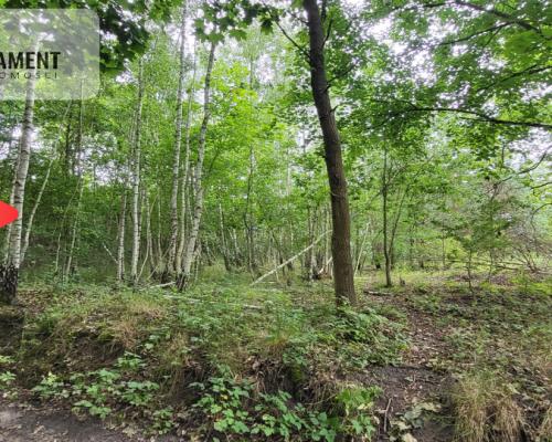 2118mkw z WZ - Wyrzysk Skarbowy