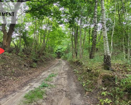 2118mkw z WZ - Wyrzysk Skarbowy