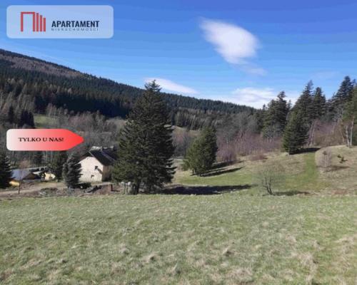 Tylko u nas! Góry/Piękny widok działki 2000mkw