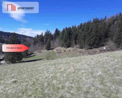 Tylko u nas! Góry/Piękny widok działki 2000mkw