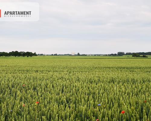 Działka w Brukach Unisławskich