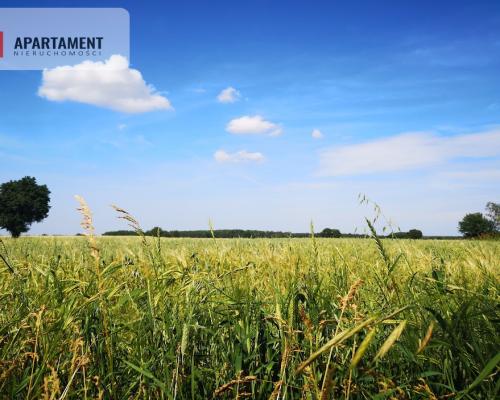 Działka w Brukach Unisławskich