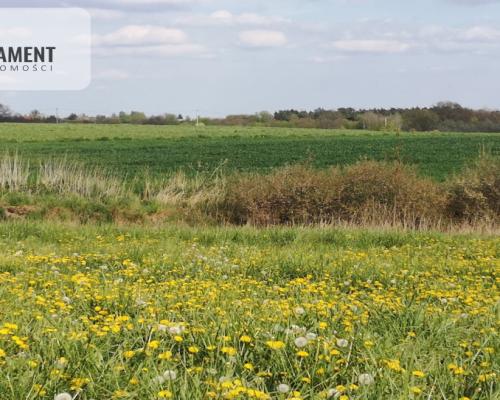 Działka w Brukach Unisławskich