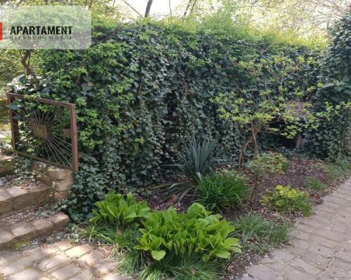 Działka ROD - dwupoziomowy domek!