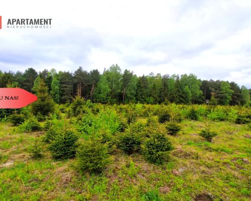 Działki w Bietowie. Promocja