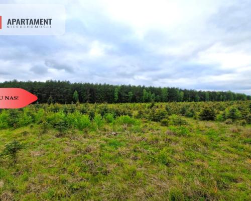 Działki w Bietowie. Promocja