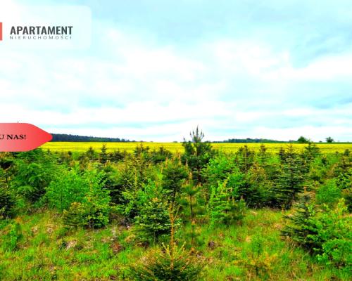 Działki w Bietowie. Promocja