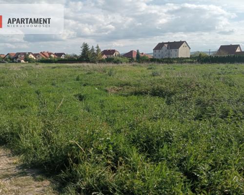 Działka inwestycyjna 2,5 ha