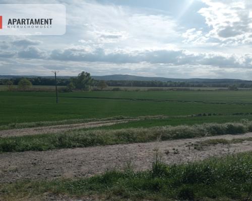 Działka inwestycyjna 2,5 ha