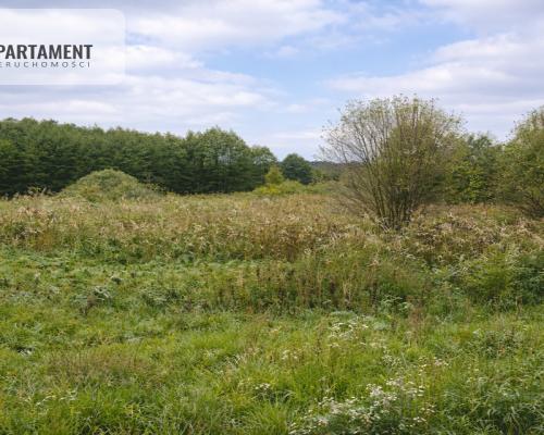 Działka z linią brzegową Drwęcy Natura 2000