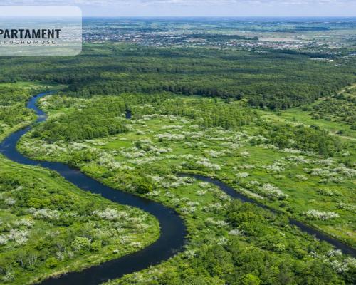 Działka z linią brzegową Drwęcy Natura 2000