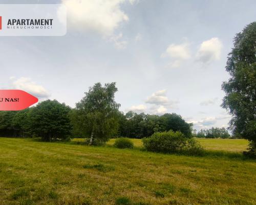 Działka wśród zieleni na granicy Borów Tucholskich