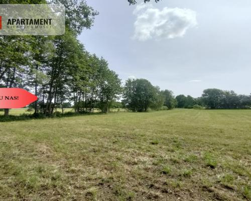 Działka wśród zieleni na granicy Borów Tucholskich