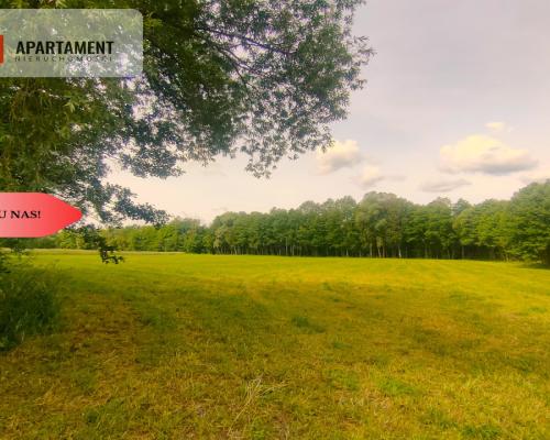 Działka wśród zieleni na granicy Borów Tucholskich