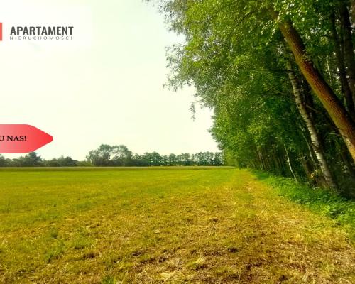 Działka wśród zieleni na granicy Borów Tucholskich