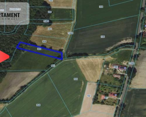 Działka wśród zieleni na granicy Borów Tucholskich