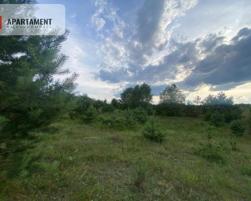 Urokliwa Działka na sprzedaż- Twoje Miejsce na Dom