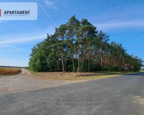 Toporzysko, ul. Kolejowa, pod laskiem