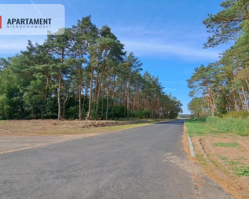 Toporzysko, ul. Kolejowa, pod laskiem