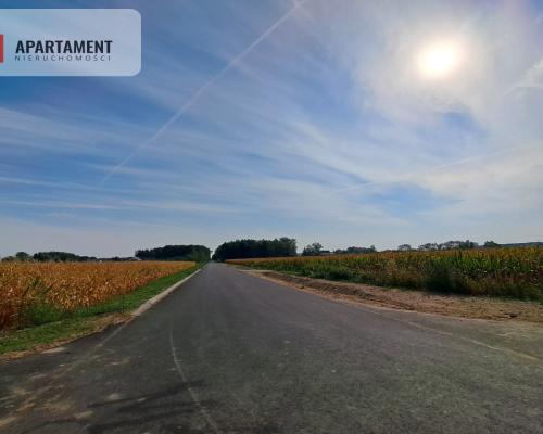 Toporzysko, ul. Kolejowa, pod laskiem