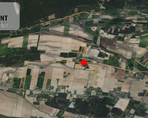 Toporzysko, ul. Kolejowa, pod laskiem